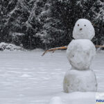 Comment faire de la fausse neige dans son salon