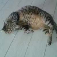 Pauline, babysitter à Le Porge