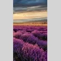 Laurine, babysitter à Montagne