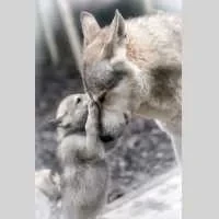 Angelina, babysitter à Creysse