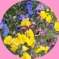 Marie, babysitter à Saint Maur des Fosses