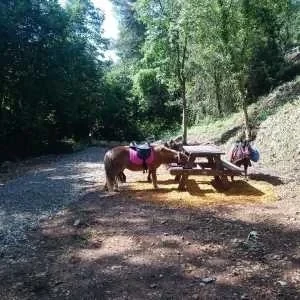 Frederique, babysitter à Vence
