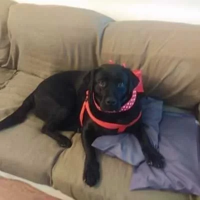 Marie laure , parent à Montereau Fault Yonne