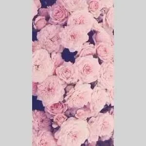 Olivia, babysitter à Habere Poche