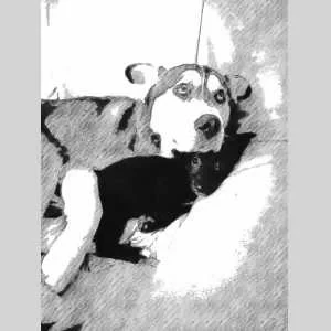 Lucie, babysitter à Tremuson