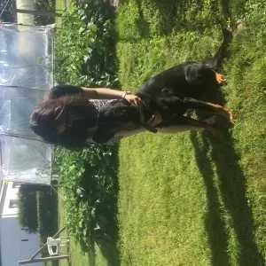 Sirine, babysitter à Saint Nolff