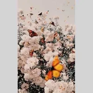 Juliette , babysitter à Saint Jouan des Guerets