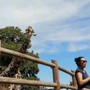 Meggan, babysitter à Angoulins