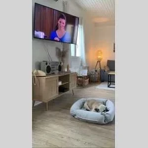 Aurélia, babysitter à Pouzilhac