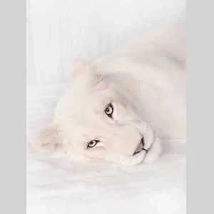 Elsa, babysitter à Montreuil