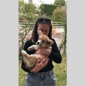 Anaïs, babysitter à Rouen