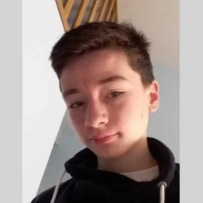 Louis, babysitter à Bonsecours