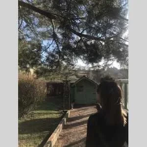 Meline , babysitter à Montlucon