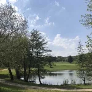 Emma, babysitter à Carrieres sur Seine