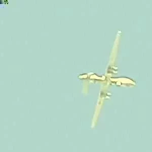 Pigdogfusting, babysitter à Paris