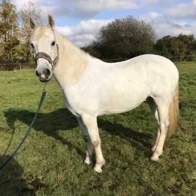Véronique, parent à Suresnes