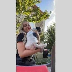 Cassandra, babysitter à Vigneux sur Seine