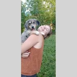 Aliénor, babysitter à Ligre