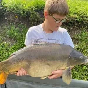 Dorian, babysitter à Selestat