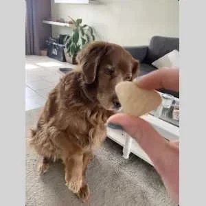 Alissa, babysitter à Beaugency