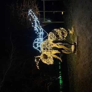 Maya, babysitter à Evry Gregy sur Yerre