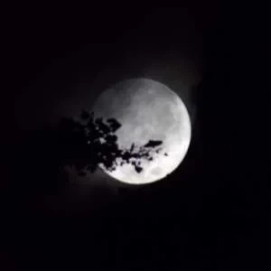 Elodie, babysitter à Pessac