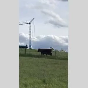 Inès, babysitter à Verfeil