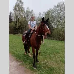 Rose, babysitter à Einvaux