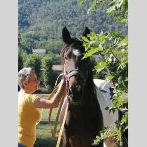 Karine, babysitter à Gap