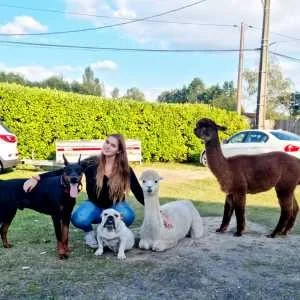 Indiana, babysitter à Val de Livenne