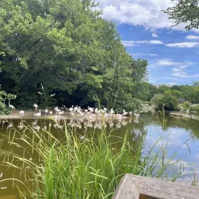 Wis, babysitter à Trevoux