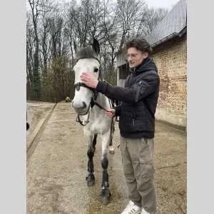 Gautier , babysitter à Le Trait