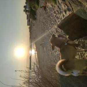 Cathy , babysitter à Demi Quartier