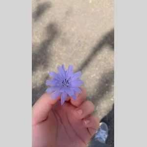 Chaima, babysitter à Villefontaine