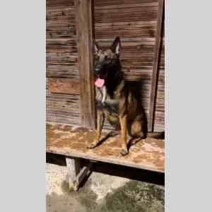 Océane, babysitter à Baziege