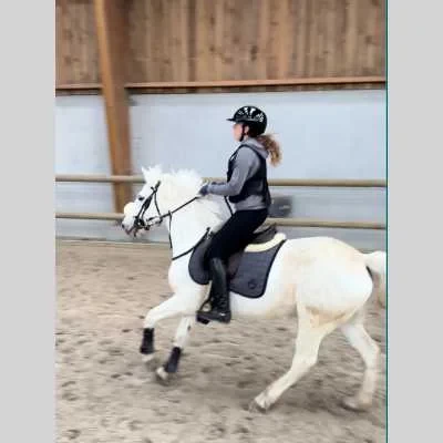 Ines , babysitter à La Chaussee Tirancourt