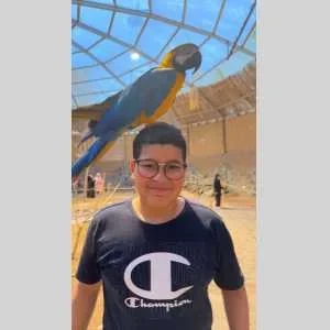 Hamza, babysitter à Gaillard