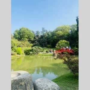 Bass, babysitter à Colomiers