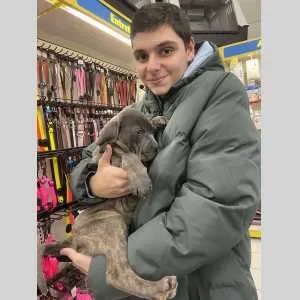 Romain, babysitter à Chambly