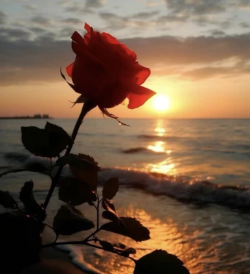 Shaïma, babysitter à Canteleu